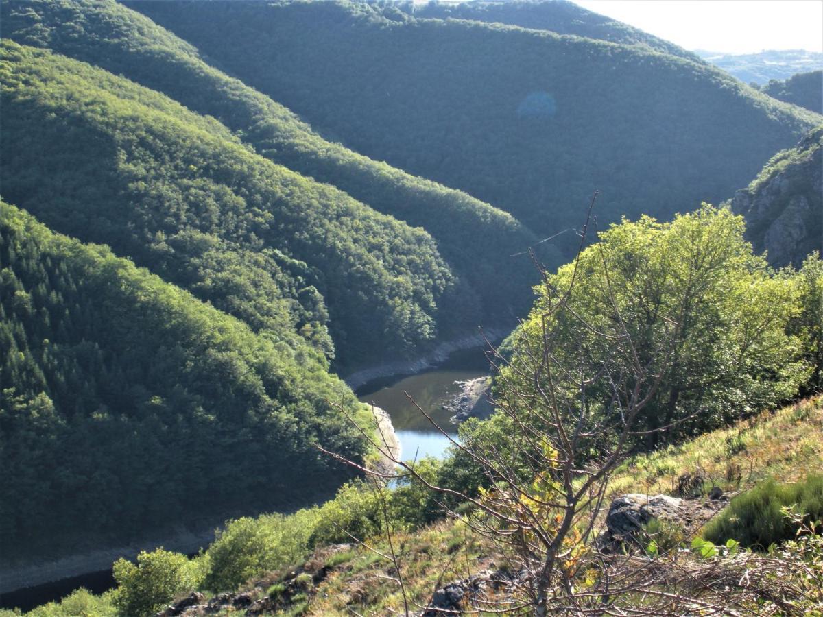 Chalet Nature Sur La Vallee De La Truyere Neuveglise Luaran gambar